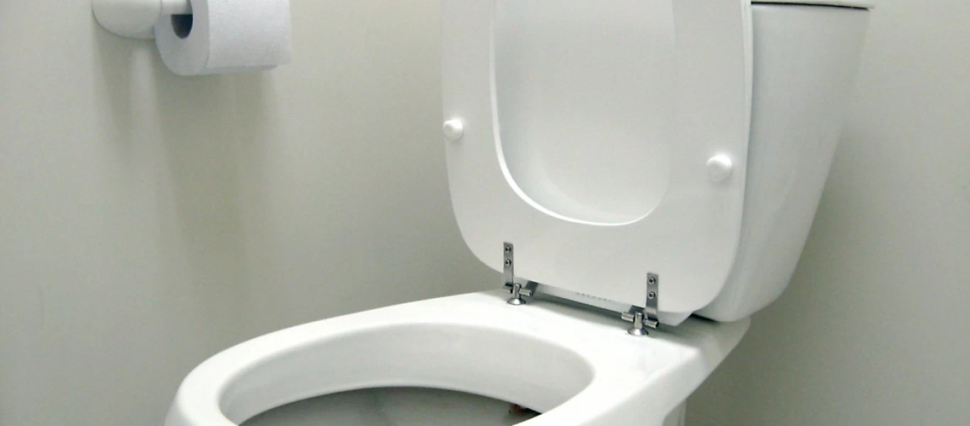 Ρίχνει σε ένα λεμόνι χοντρό αλάτι και το στύβει στην λεκάνη της τουαλέτας - Δεν φαντάζεστε το αποτέλεσμα (βίντεο)